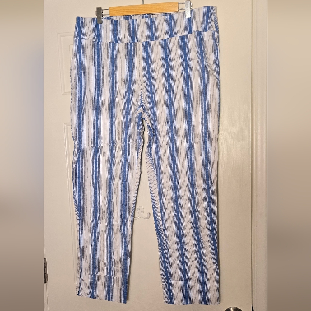 Zac & Rachel Blue and White Pants